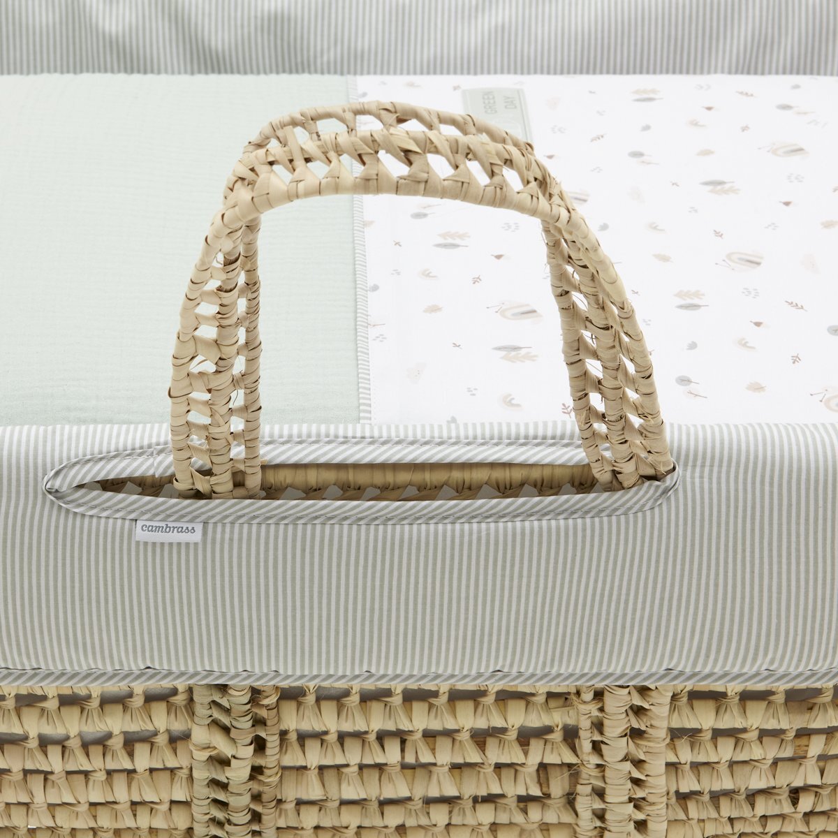 Cambrass Moises De Palma Acolchado Une Greeny