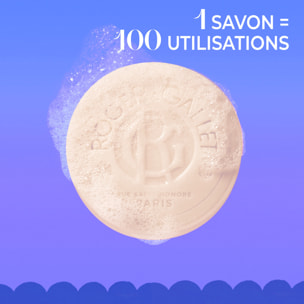 Bois de Santal - Savon Bienfaisant 100 g