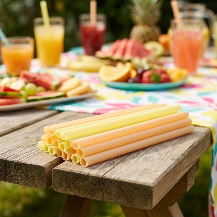 Lot de 12 pailles coloré en plastique 20 cm Fackelmann Summer Party
