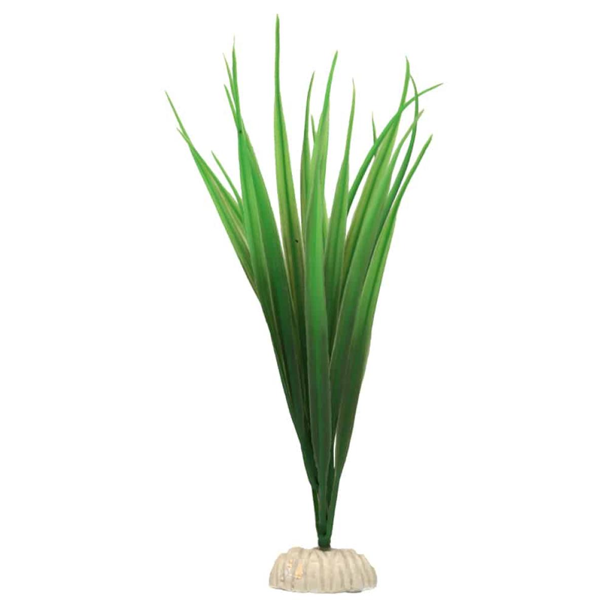 Pianta per acquario - Classic Bamboo - Amtra