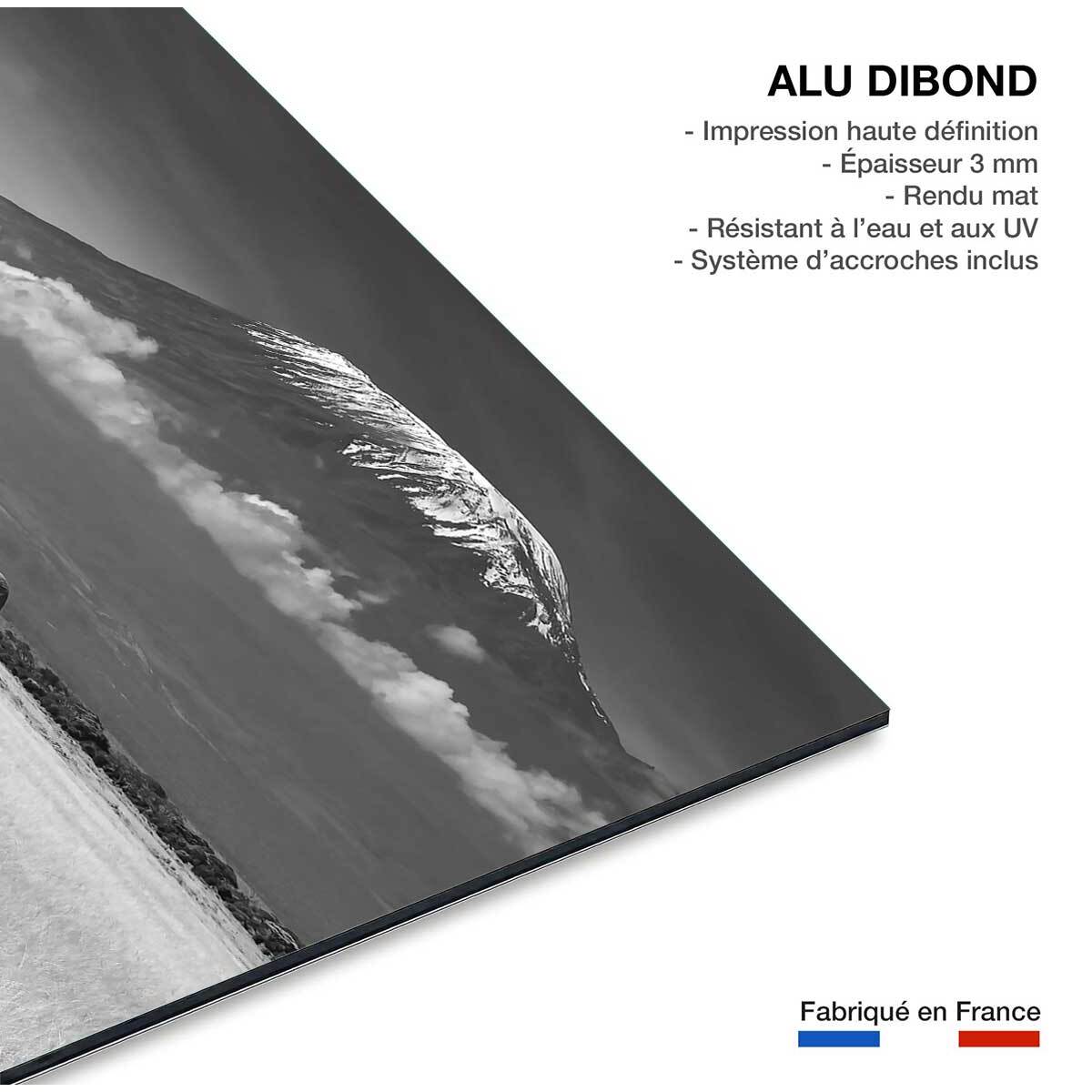 Tableau elephant et kilimanjaro Tableau alu Dibond