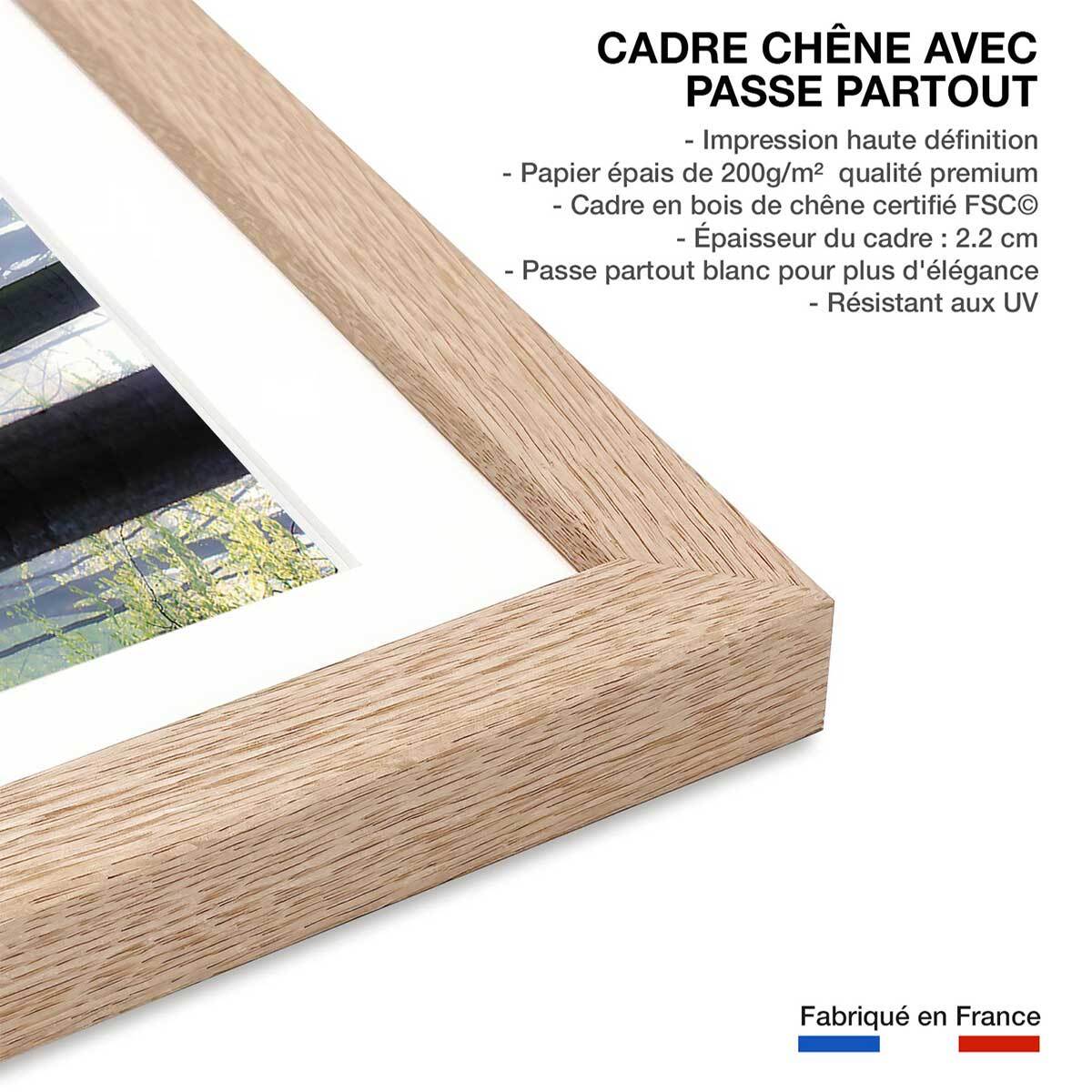 Affiche nature jacinthes et sous-bois Affiche sous cadre bois