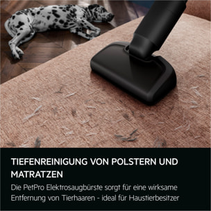 AEG Aspiradora sin cable Serie 6000 Animal de 50 min de autonomía AP61AB21DG