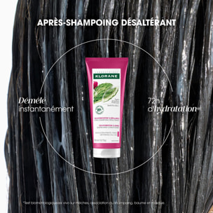 Figuier de Barbarie - Après-Shampooing Désaltérant - 200 ml