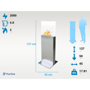 Cheminée à l'éthanol au sol en acier noir et flamme réglable