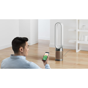Purificateur ventilateur Dyson Cool PC2 De-NOx TP12 - Reconditionné