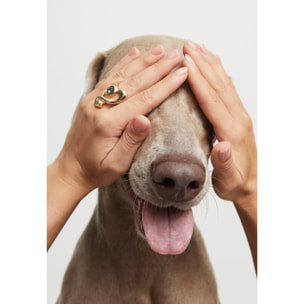 Anillo SER EXPRESIVA NEGRO 12