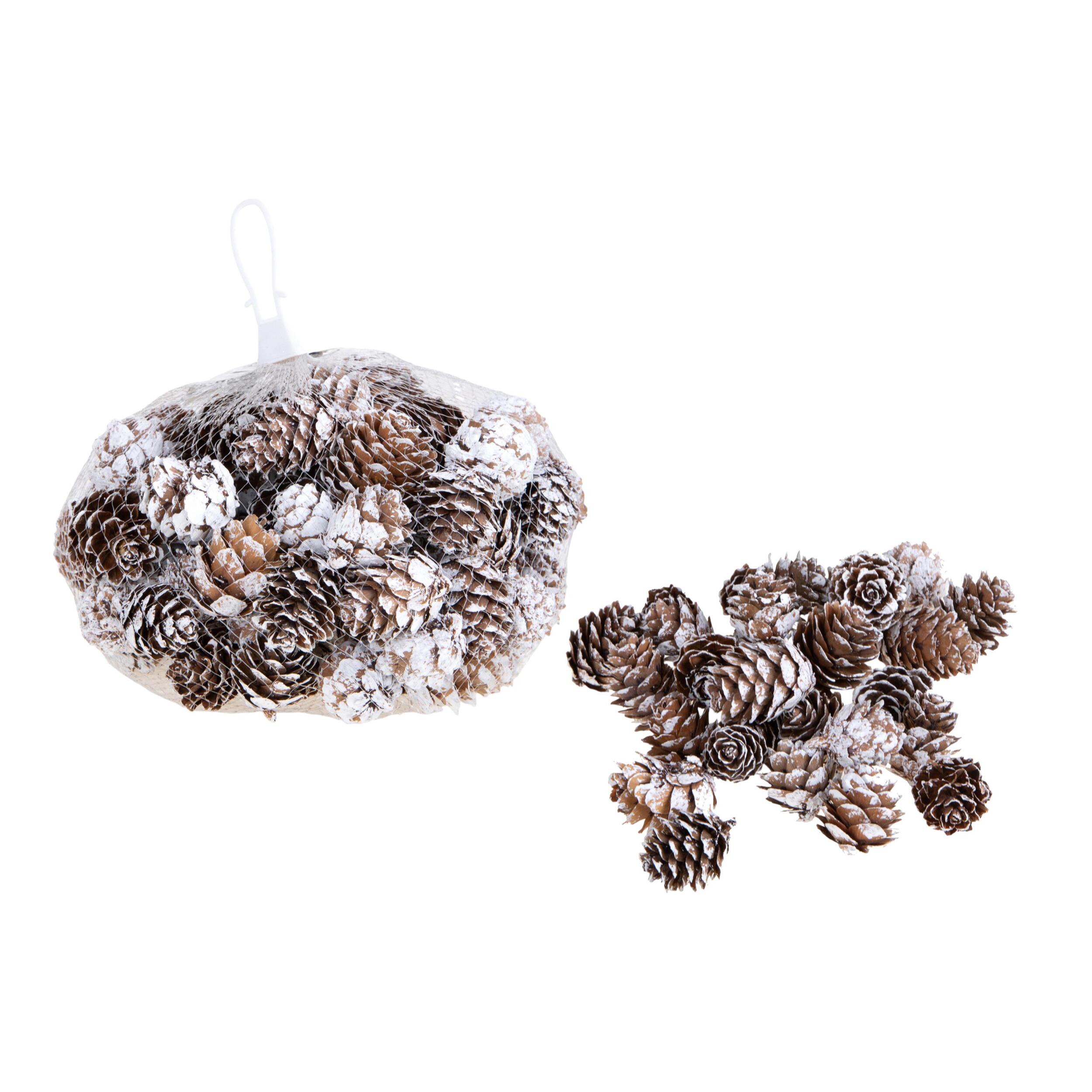 Mini pigne - Pezzi 6 - 15xH5x13cm - Bianchi Dino SpA