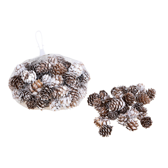 Mini pigne - Pezzi 6 - 15xH5x13cm - Bianchi Dino SpA