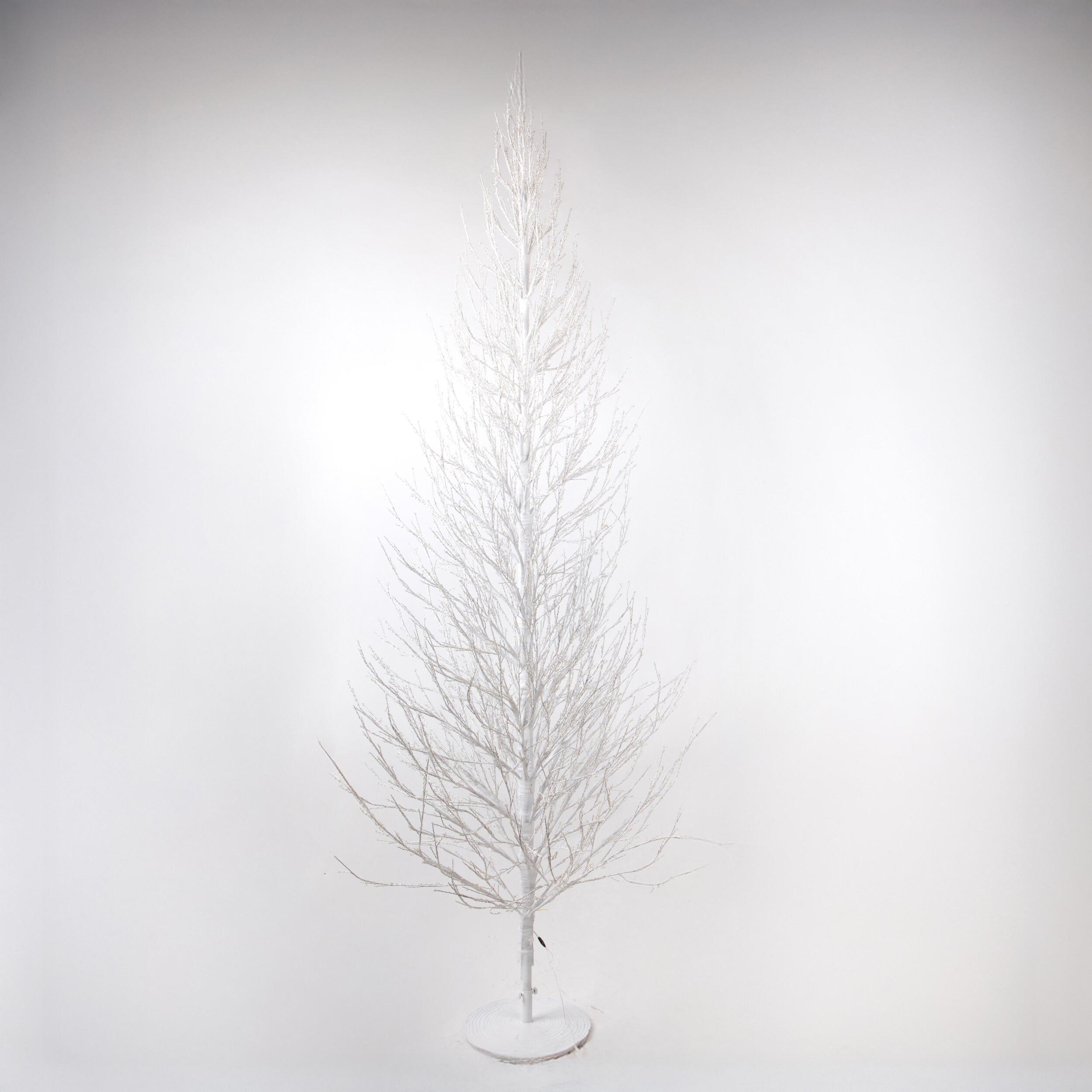 Faggio - Pezzi 1 - 85xH240x85cm - Bianchi Dino SpA