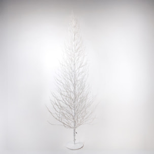 Faggio - Pezzi 1 - 85xH240x85cm - Bianchi Dino SpA