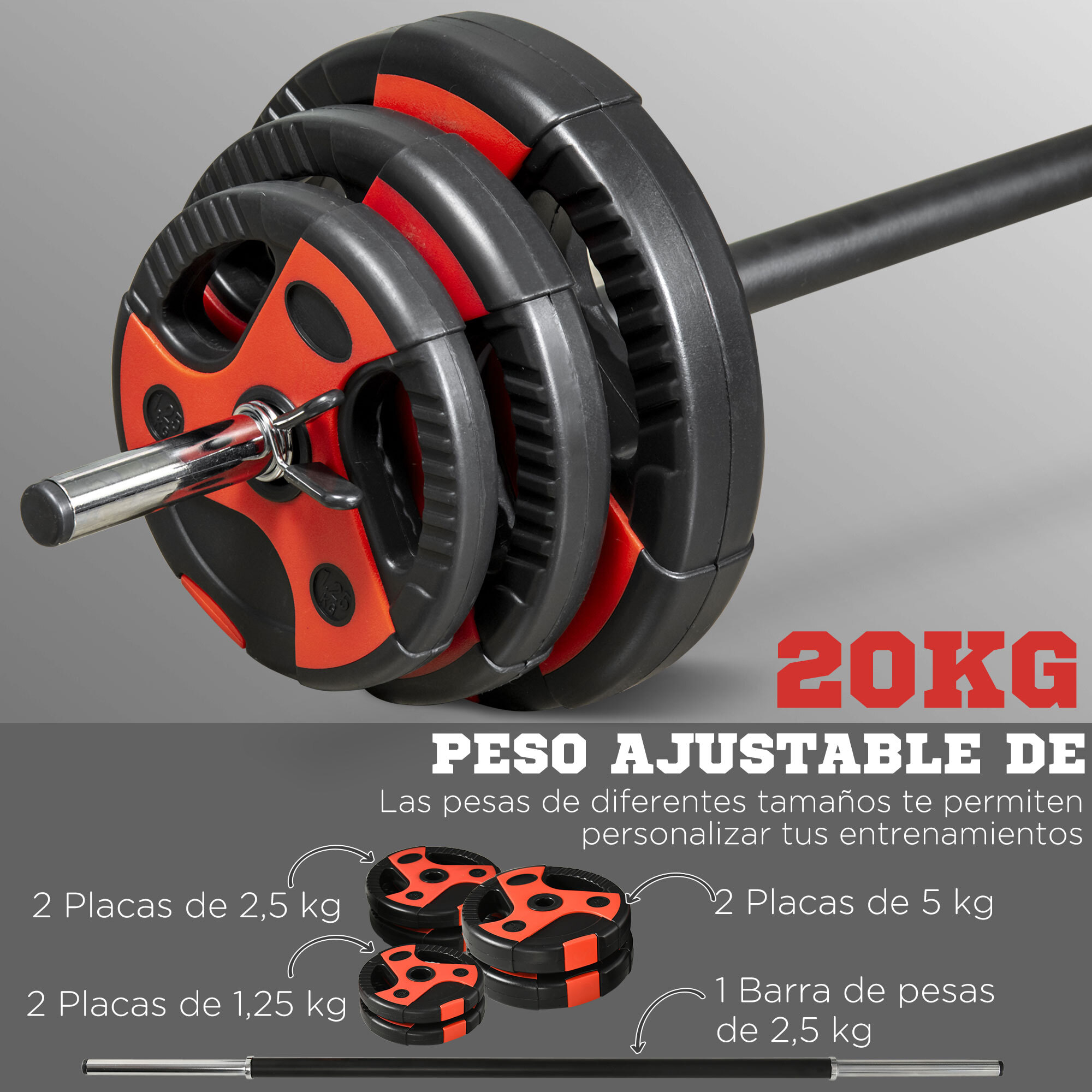 Juego de Barra de Pesas 20 kg Set de Pesas Ajustables con 6 Discos 1,25 kg 2,5 kg 5 kg y 1 Barra Juego de Mancuernas para Entrenamiento Culturismo en Gimnasio Casa Ø27x140 cm Negro y Rojo