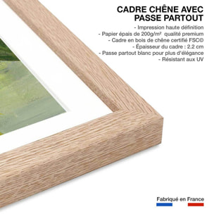Poster Feuillage tropical Affiche + cadre en bois - Chêne