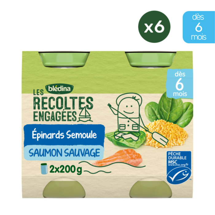 6x2 Petits Pots Epinards, Semoule et Saumon Sauvage - Bledina Les Recoltes Engagées - Dès 6 mois