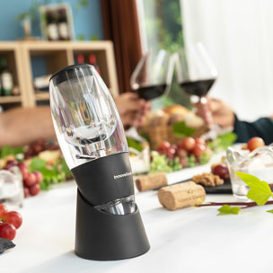 Aeratore per Vino con Filtro, Supporto e Custodia Wineir InnovaGoods