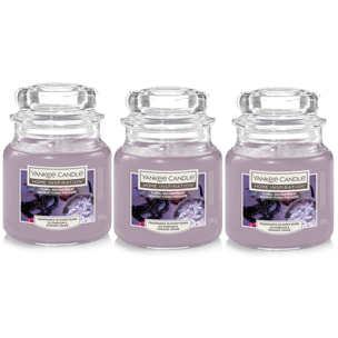 SET 3PZ CANDELA IN GIARA PICCOLA FLORA ENCHANTMENT