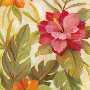 Poster Fleurs corail Affiche + cadre en bois - Chêne