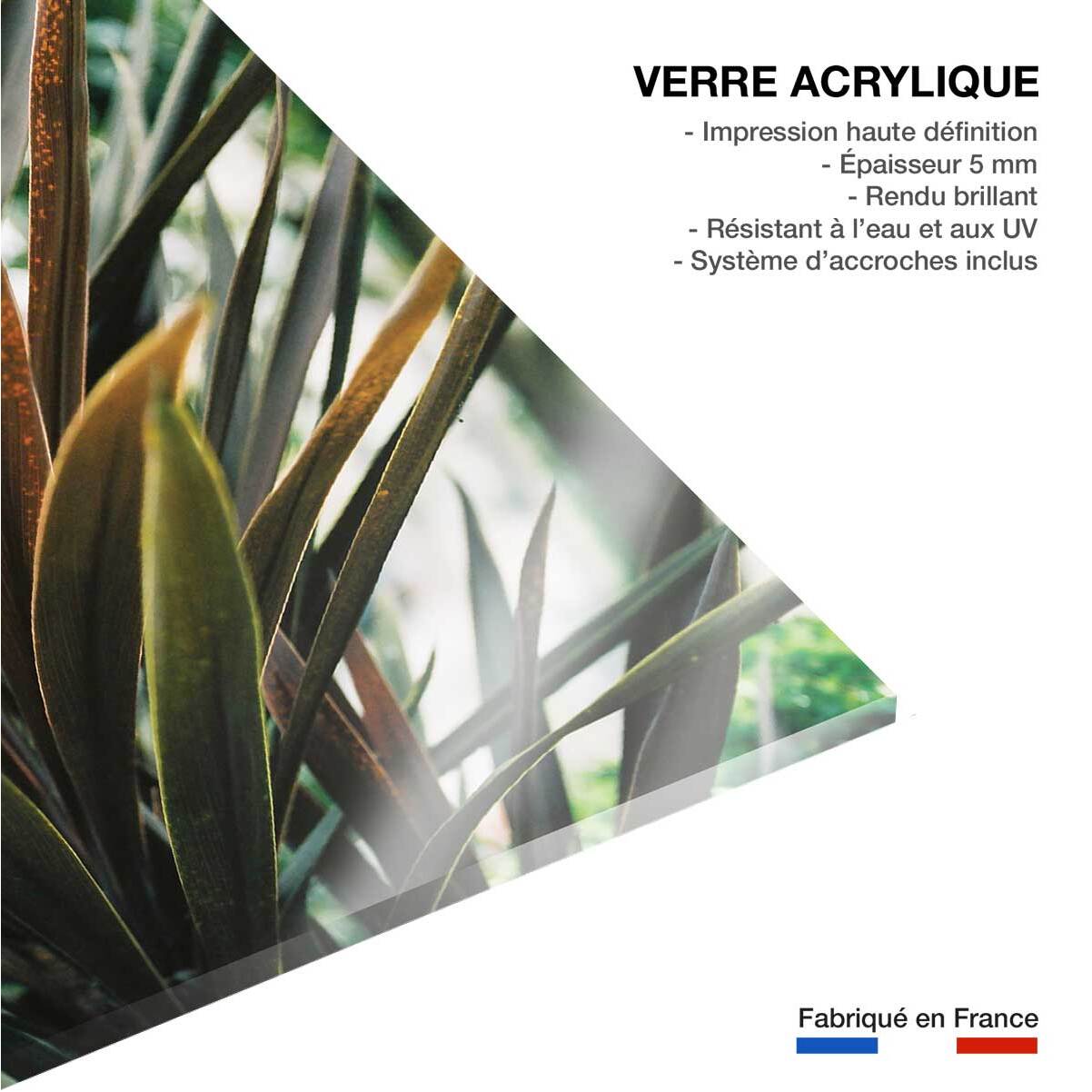 Tableau fleur de yucca et forêt tropicale Tableau plexiglas