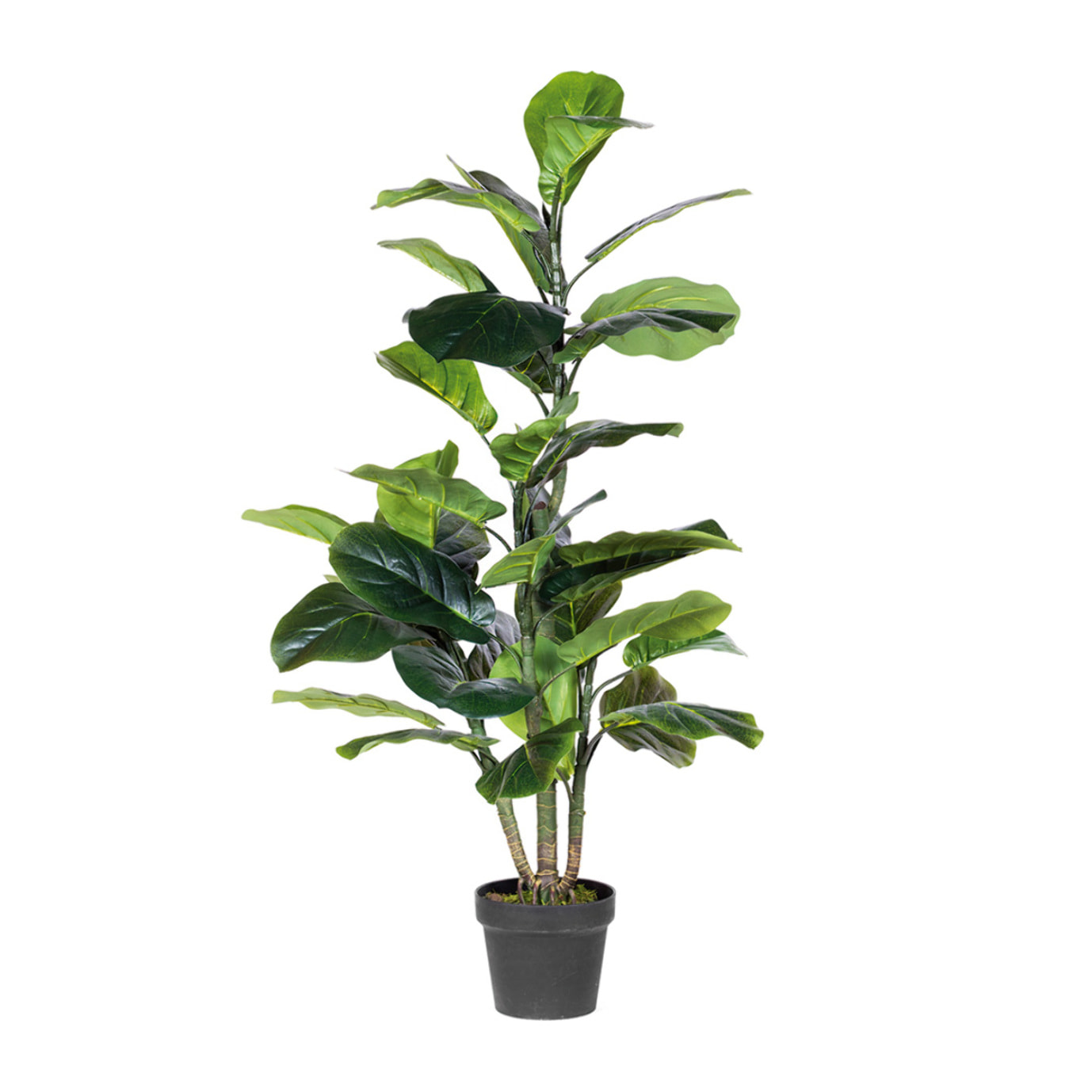 Planta Artificial Ficus Lyrata 120cm