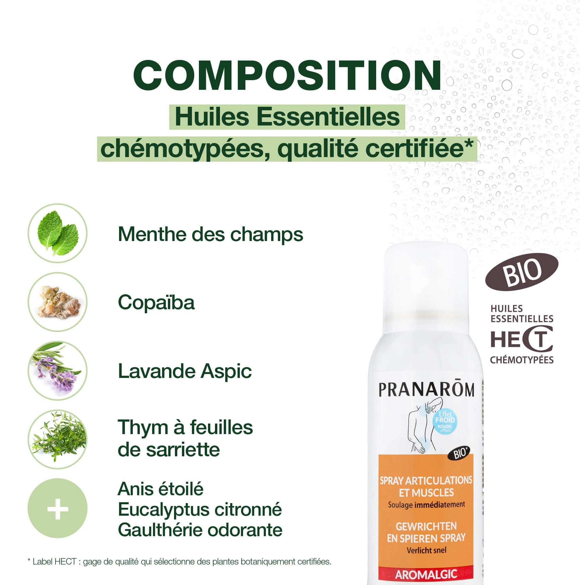 Pranarom - Spray articulations et muscles - Bio - 75 ml