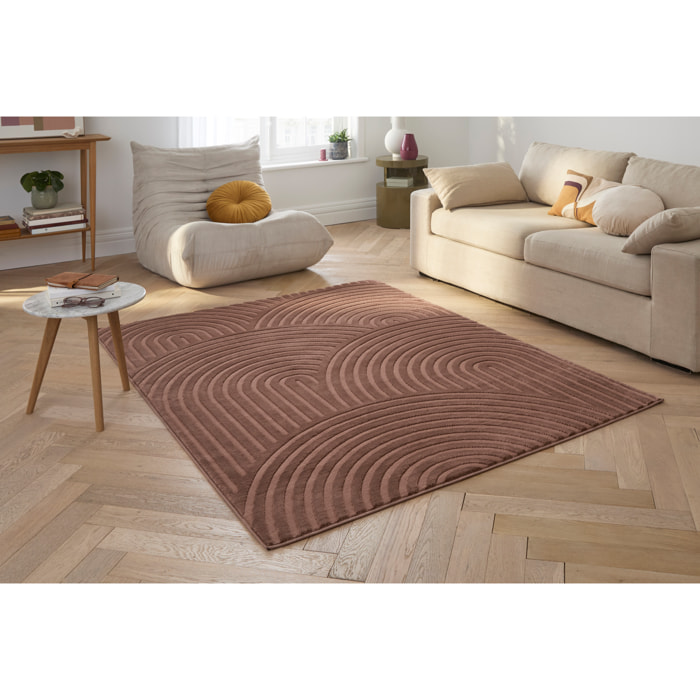 BIANCA - Tapis arc en ciel mocca avec poils longs en relief