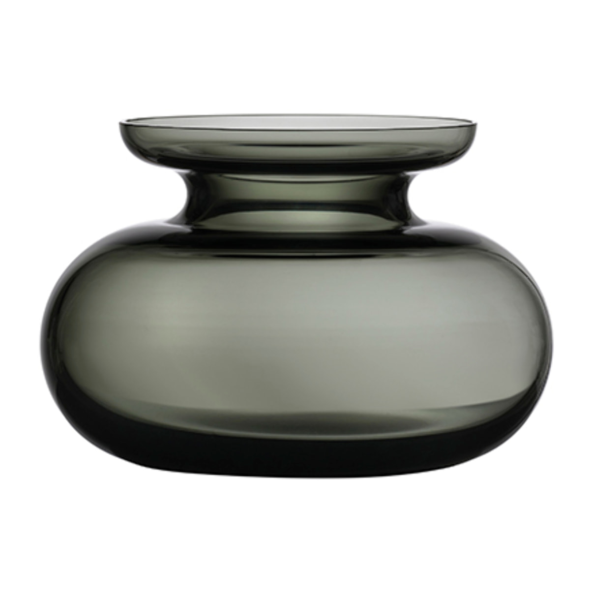Vase Inu