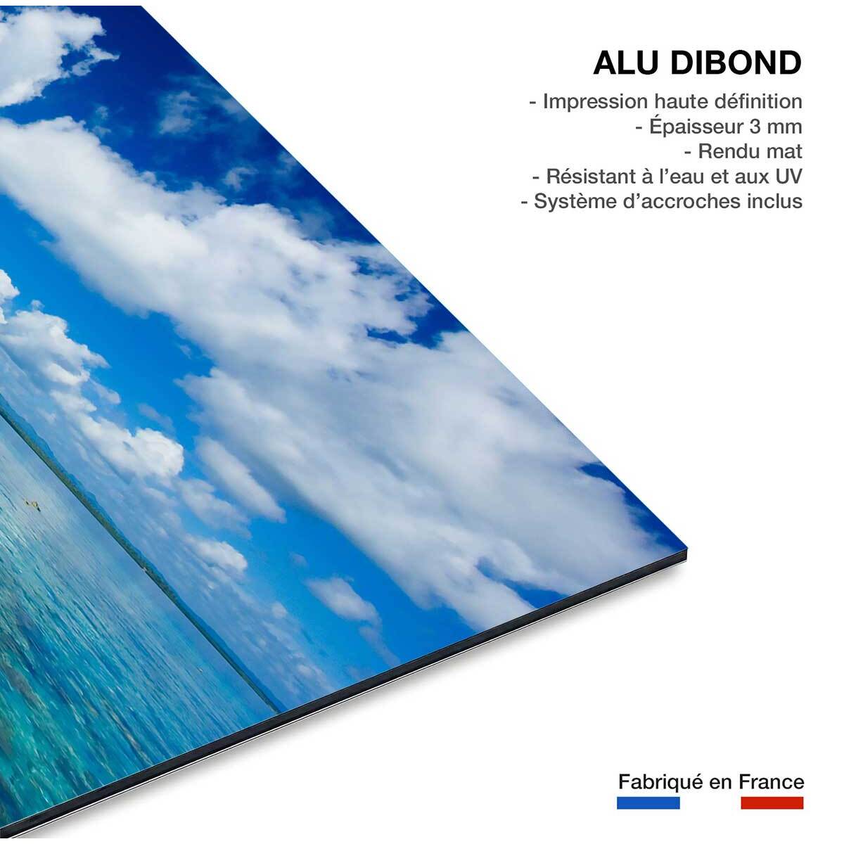 Tableau mer tropical island  Tableau alu Dibond