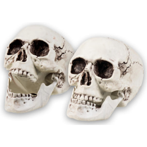 Teschio Decorazione Skull Maxilla 20x15cm Con Mandibola Apribile Halloween