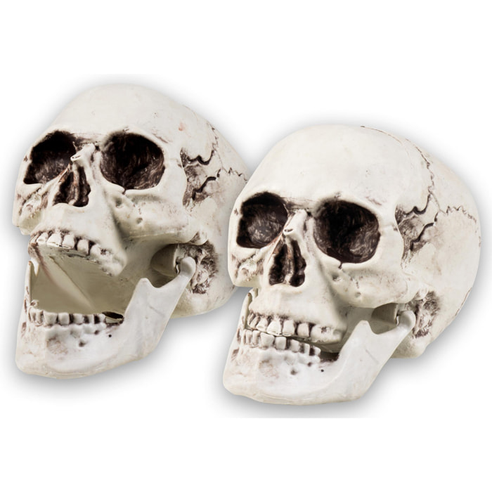 Teschio Decorazione Skull Maxilla 20x15cm Con Mandibola Apribile Halloween