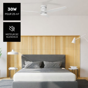 Ventilateur plafonnier TAURUS POLAR 3B PURE