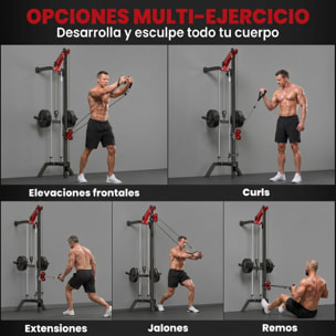 Máquina Polea Alta y Baja de Pared, Estación de Polea Ajustable en 16 Posiciones, Máquina de Musculación con Barra para Jalones y Manillar para Entrenamiento de Fitness en Gimnasio en Casa