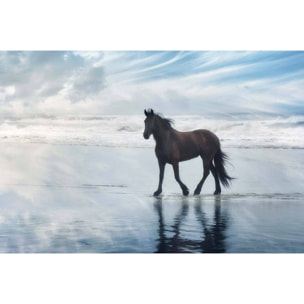 Tableau cheval mouvement du cheval  Toile imprimée