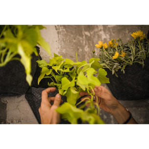 Maceta de pared hexagonal con 2 plantas colgantes