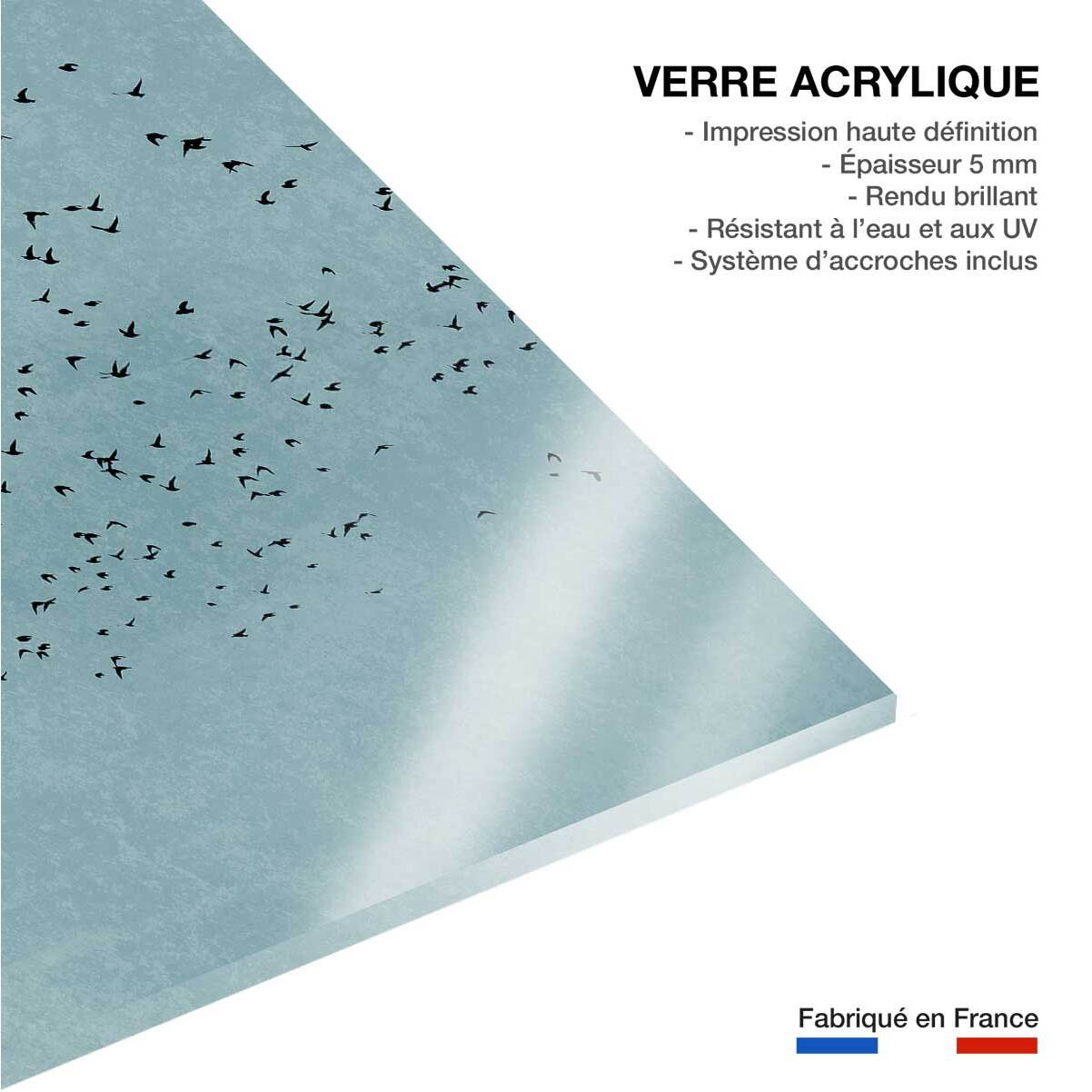 Tableau paysage Beauté du jour Tableau plexiglas