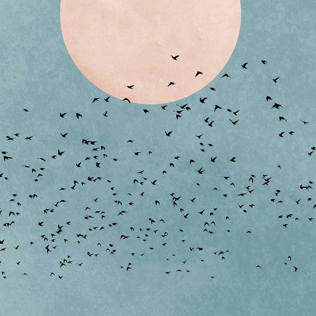 Tableau paysage Beauté du jour Tableau alu Dibond