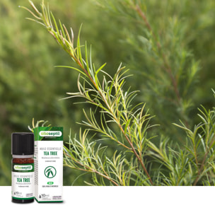 OLIOSEPTIL - Huile essentielle de Tea Tree - 100% Pure et naturelle - BIO - HEBBD (biochimiquement et botaniquement définie) - 100% origine naturelle - Lot de 2 Flacons 10ml