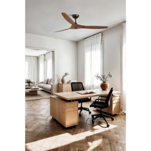 MOREA L Ventilador de techo marrón/nogal