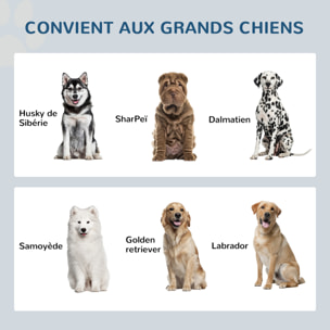 Gamelle double chien chat - porte-gamelles surélevé armoire 2 en 1 - 2 portes, 2 gamelles - acier inox. MDF gris