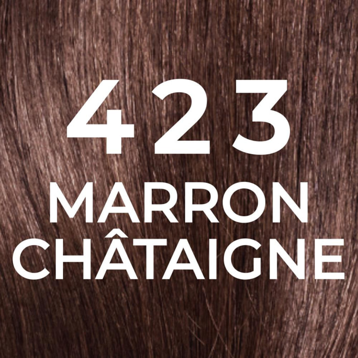 Casting Natural Gloss Marron Châtaigne 423