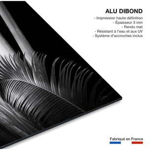 Tableau fleurs Marbella palm Tableau alu Dibond