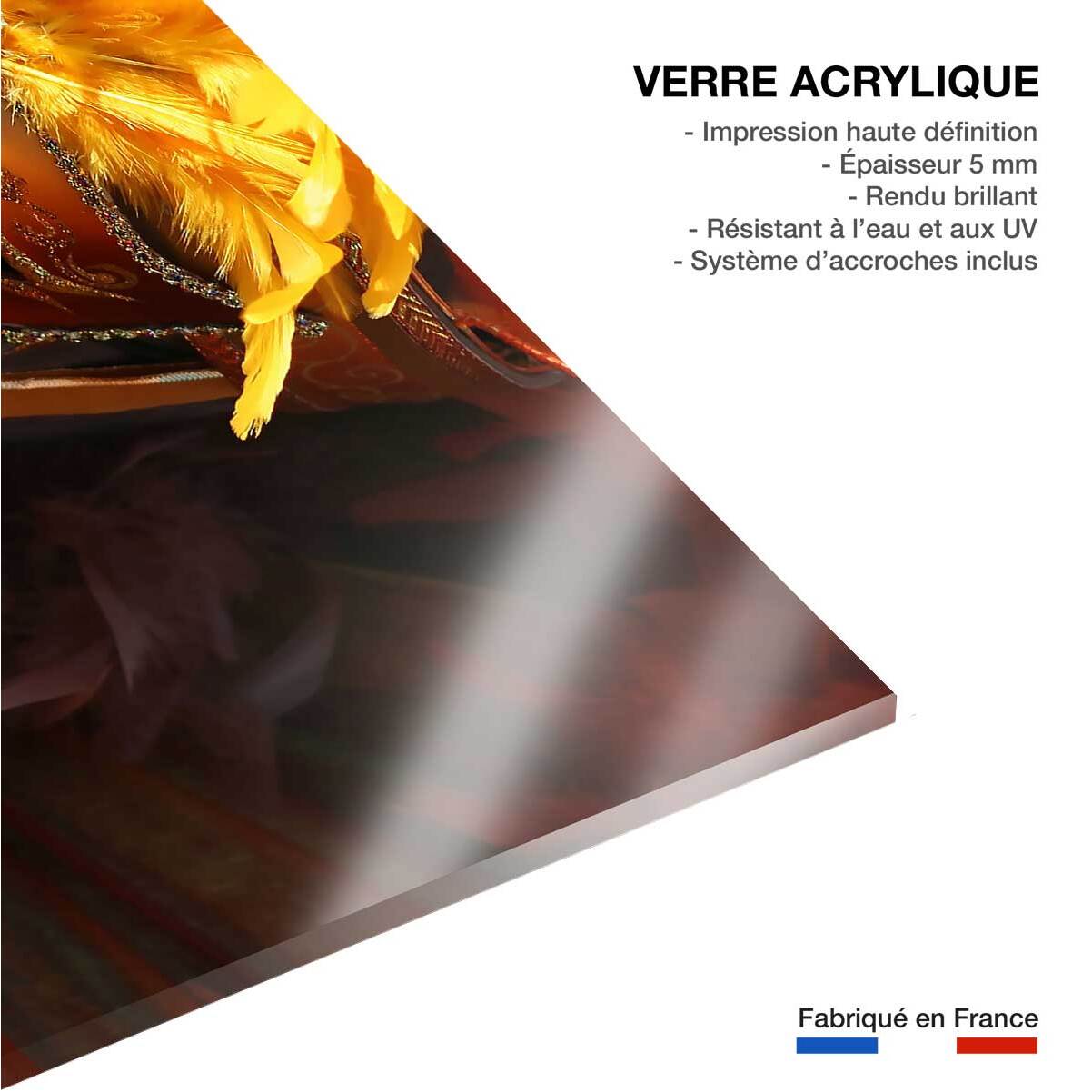 Tableau monde carnaval de venise  Tableau plexiglas