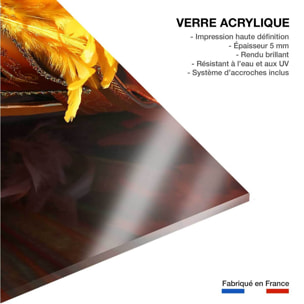 Tableau monde carnaval de venise  Tableau plexiglas