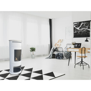 Poêle à éthanol 3kW en acier avec façade en verre trempé