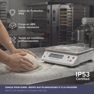 Balance électronique professionnelle - 12kg - IP53 - précison 1g - plateau amovible inox 29,8 x 23,6 cm
