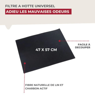 Filtre hotte Fackelmann 47 x 57 cm Accessoires hotte et friture