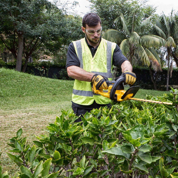 Taille-haies XR 18V 5 Ah Li-ion avec 1 Chargeur + 1 Batterie - DEWALT - DCM563P1-QW