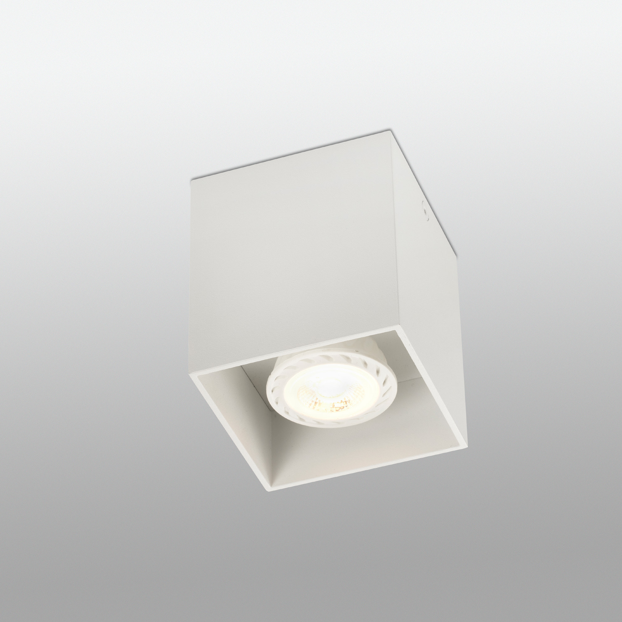 TECTO 2L GU10 Plafón blanca