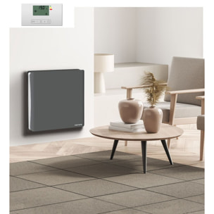 Radiateur inertie double coeur ceramique + film LCD 1000W gris & blanc