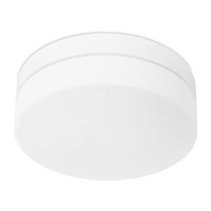 Forlight Plafon Ip20 Farrow E27 40W Blanco 840Lm