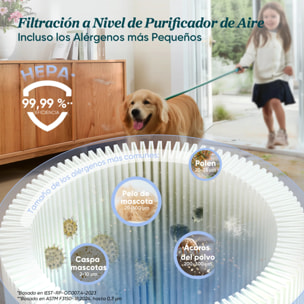 LEVOIT Aspiradora inalámbrica LVAC-300 Plus con un cepillo anti-enredos, motor 240W y cabezal flexible de 180°